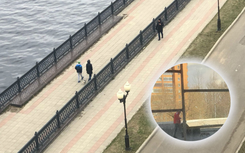 Гуляют с собаками на крыше: ярославна разоблачила хитрых соседей