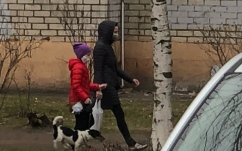 "Всех распустить": альтернативу дистанционному обучению и ЕГЭ предложили ярославцы