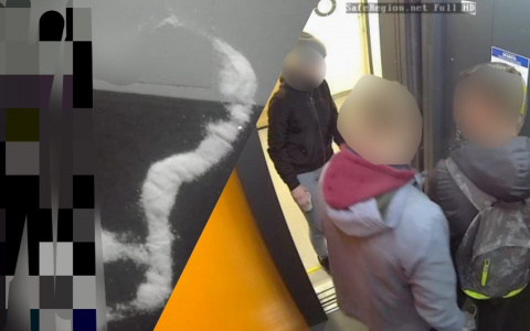 Мужские органы из соли: странные метки оставляет в подъездах банда из Ярославля