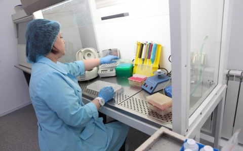 Сотни укусов клещей регистрируют медики: заявление Роспотребнадзора в Ярославле