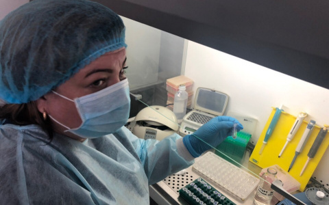 Клещей можно сдать не везде: в Ярославле приостановили работу лаборатории