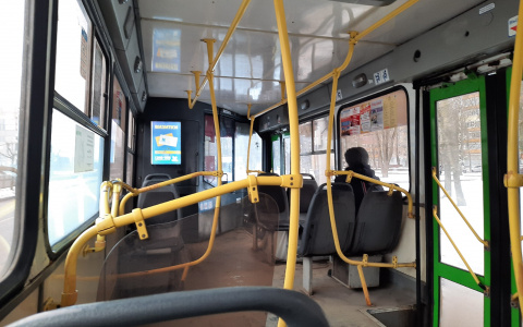 Как будет работать общественный транспорт в Ярославле в праздничные дни: подробности