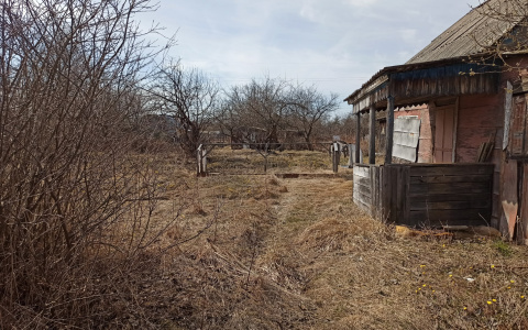 Кадастровая стоимость недвижимости: возможности по снижению