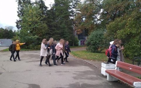 И опять прощай, ЕГЭ-2020: новое заявление члена Госдумы