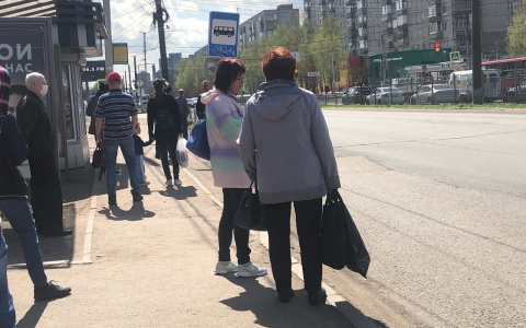 Думали ковид, оказалось - хуже: отличаем "корону" от аллергии