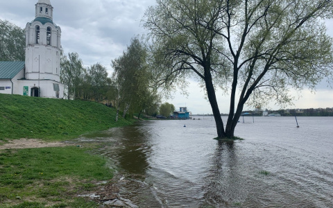 «Тверицкий пляж ушел под воду»: ярославцы бьют тревогу из-за массового затопления