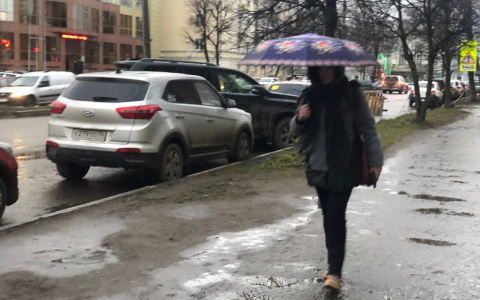 Температура упадет до +2 градусов: синоптики назвали самые холодные дни мая