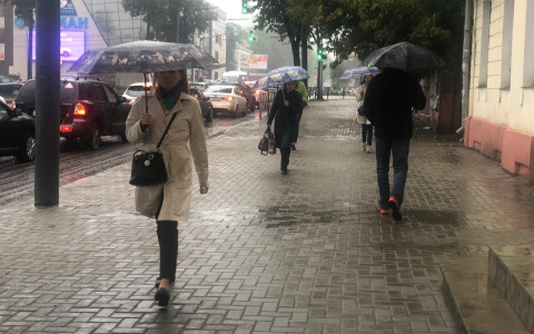 Засухи, смерчи, ураганы: климатолог предрек экстремальное лето ярославцам