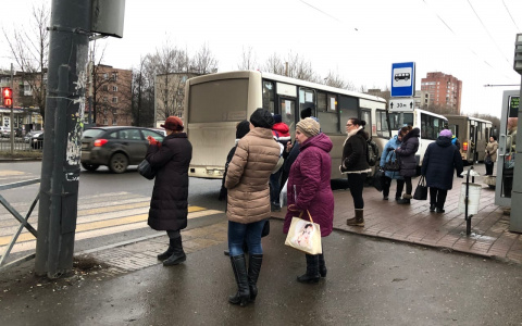 В Ярославле меняют расписание автобусов, троллейбусов и трамваев: подробности