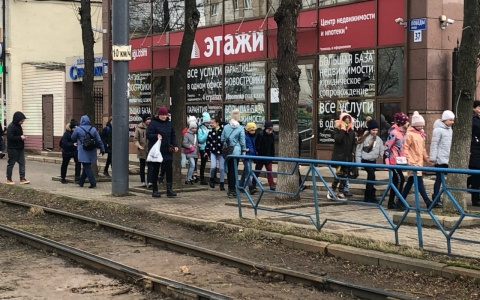 10 тысяч на ребенка: почему не надо торопиться, ответили в ПФР