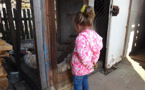 10 тысяч на ребенка: как узнать, что ваше заявление приняли