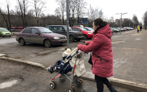 О 10 тысячах не мечтайте: в ПФР рассказали, кому откажут в выплатах на ребенка