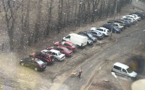 В Ярославле ударят морозы: предупреждение МЧС