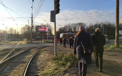 Ярославцам вернут трамвайный маршрут: схема движения и расписание