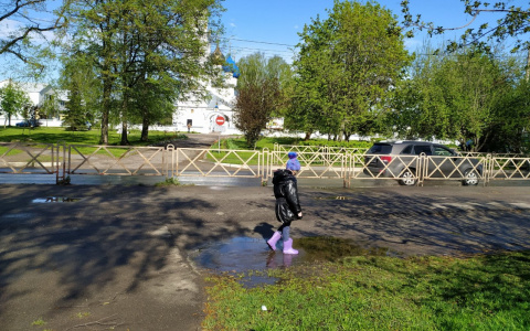 Гидрометцентр: аномальные холода надвигаются на Ярославль