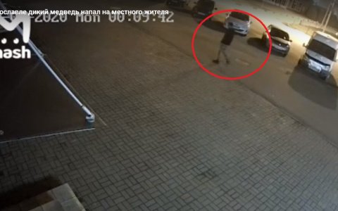 Вцепился в ногу: момент нападения медведя на ярославца попал на камеру. Видео