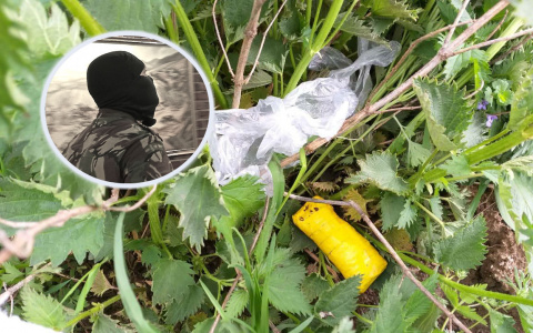 Героин в чистом поле: под Ярославлем ФСБ накрыла московский канал поставки наркотиков