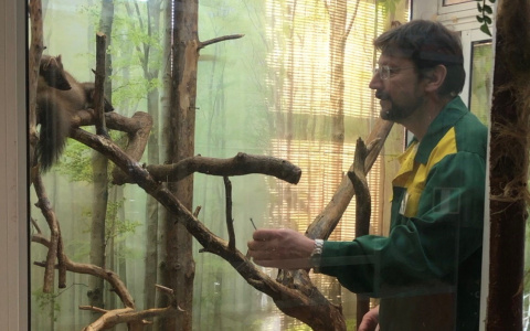 "Тяжело всем": ярославский зоопарк просит помочь с кормежкой 3500 животных