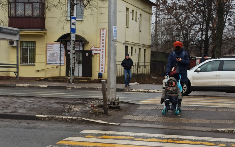 О выплатах не мечтайте: в ПФР рассказали, кому откажут в детских пособиях