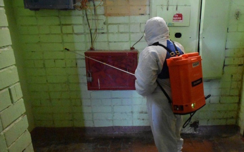 Проводят тесты на себе: медики испытывают вакцину от коронавируса