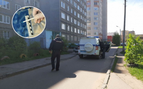 Умерла после месяца комы: брагинец до смерти замучил жену-домохозяйку