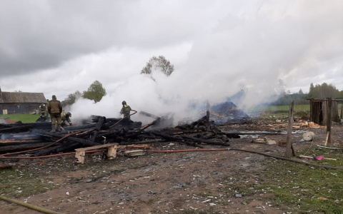 Трое детей погибли в пожаре под Ярославлем: подробности