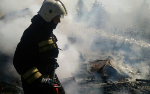 "Погибли трое маленьких детей и женщина": ярославцы просят помочь семье погорельцев