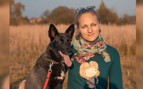 «Таксист бросил на дороге окровавленного щенка»: волонтер о жизни бездомных животных в пандемию