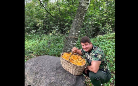 В Ярославле пошли грибы: топ-5 мест, где искать