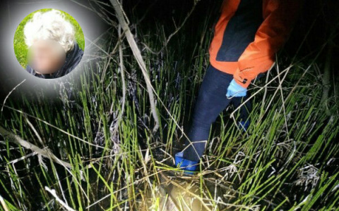 «После пяти дней без еды забыла свое имя»: найти без вести пропавшую ярославну помогли дроны