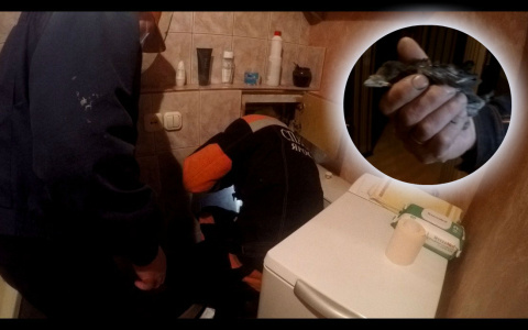 «Два дня звал на помощь»: ради спасения чужой жизни ярославна вызвала домой спасателей