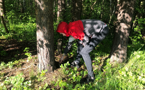 Секреты лесников: назвали топ-5 грибных мест под Ярославлем