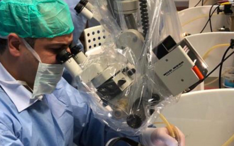 Угроза: скрытую форму ковида ученые назвали опасной