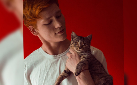 40% кошек с коронавирусом: опасно ли это для людей, рассказал ветеринар из Ярославля