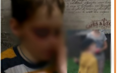 В Ярославле во время прогулки пропал девятилетний мальчик