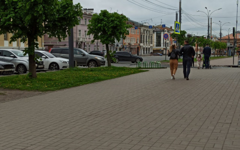 Жаркое лето откладывается: начало июня встретит ярославцев холодной погодой и дождями