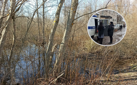 "Вернется в новом теле": сектант пугал дочь воскрешением мертвой матери