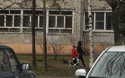 "В туалет в мою клумбу": из-за разборок соседок ярославцы требуют ввести новые штрафы