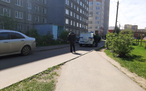 Бил, пока не хлынула кровь: ярославец напал на брата в Брагино