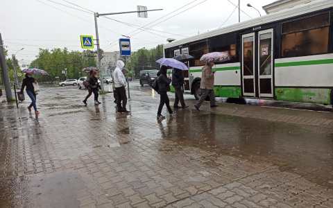 Два дня стихии ожидает Ярославль: экстренное предупреждение МЧС