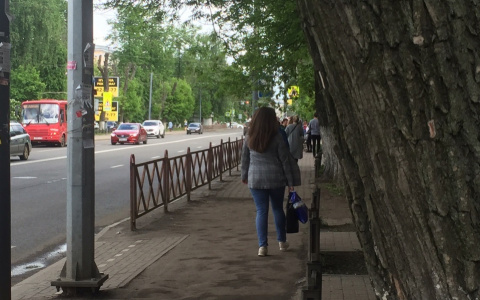 "Вот будет лето...": как синоптики расстроили ярославцев