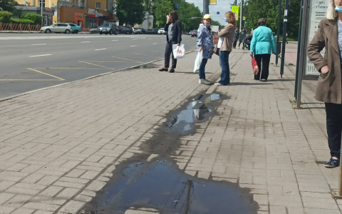 Назвали, обладатели какой группы крови склонны к лишнему весу