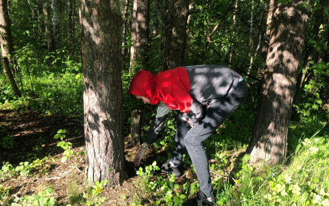 90 процентов червивые: рассказали, где не стоит собирать грибы ярославцам