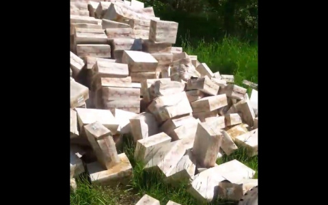 Гору лекарств из Украины выбросили в Ярославле: Следком проводит проверку