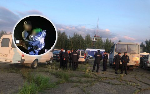 Мама его не искала: пятилетнего малыша подобрали на дороге в Ярославле