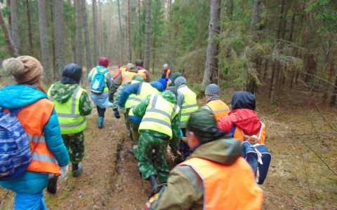 Эти пять вещей спасут вас от смерти : волонтеры рассказали, как выжить в лесу