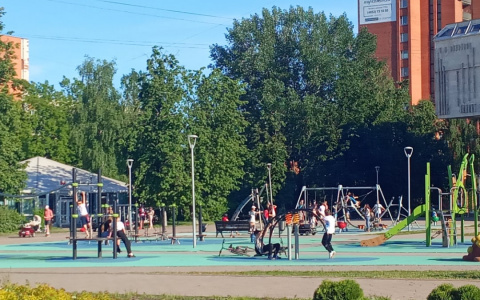 В России хотят ввести новое пособие для родителей: кому положено