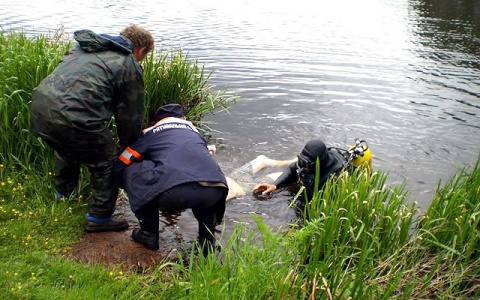 Тело 24-летнего парня нашли под Ярославлем: подробности трагедии