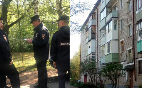 Сказал, что он супергерой: пятилетний мальчик висел на краю окна