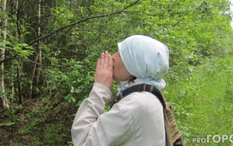 Набрали полные корзины: ярославцы раскрыли грибные места области